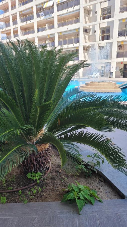 Platan Appartement *